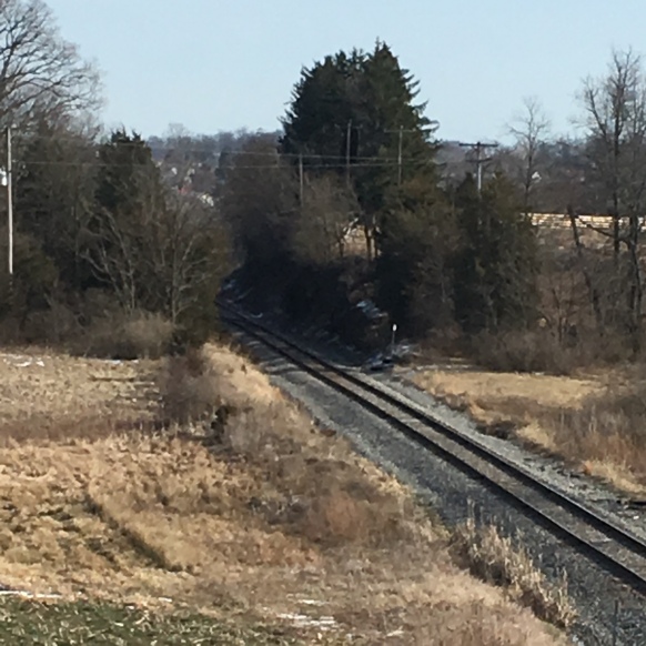 Railroad Cut